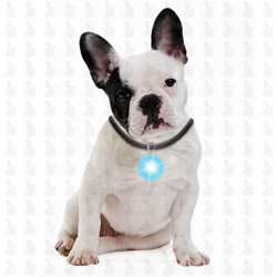Leuchtanhänger Leuchthund®